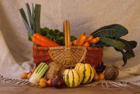 Gemüsevielfalt im Oktober