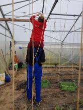 Das geht aufs Kreuz...