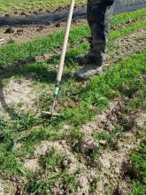 Uwe zeigt, wie's geht