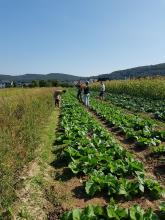 Endlich wieder hacken!