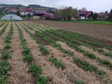 Hier fehlt nur noch eine kleine Ecke.