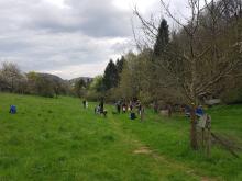 Hier wird fleißig gesammelt.