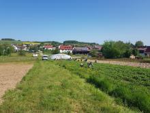 So sah der Acker vor der Aktion aus.