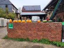 Die Einfahrt zum Hof, mit Kürbissen dekoriert.