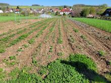 So sah es vor dem Hacken aus