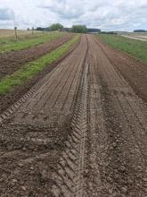 Ein bearbeitetes Beet.