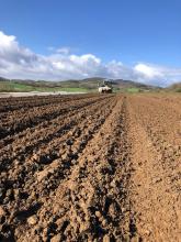 Blick auf den Acker mit Traktor im Hintergrund.