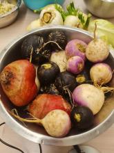 Eine bunte Auswahl an Wurzelgemüse.