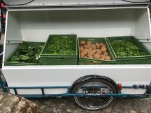 Die Box "Rumpumpel" wird beladen.