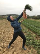 Stolz werden die größten Möhren präsentiert. Stolz werden die größten Möhren präsentiert.