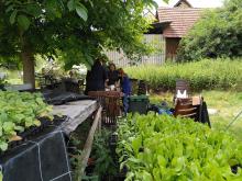 Ein schöner Ort zum Verarbeiten