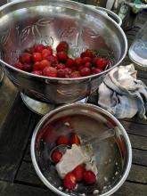 Der Nachtisch: Erdbeeren und Vanillepudding. Der Nachtisch: Erdbeeren und Vanillepudding.