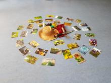 Fotos von der Solawi Petersilie liegen im Kreis auf dem Boden des Workshop-Raums.