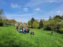 Die Wildkräuter-Gruppe im Heiligen Grund.