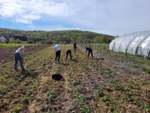 Der Erdbeeracker mit den Helfer*innen des Ackereinsatzes