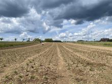 Imposante Wolkenformationen hängen über dem Acker in Kirchvers.