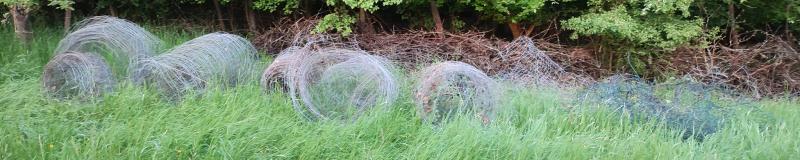Ein Teil des aus dem Zaunbereich entfernten Drahgewirrs